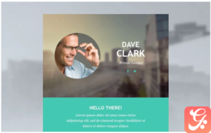 Lawyer Responsive Newsletter Template