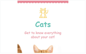 Cat Responsive Newsletter Template