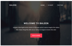 Baleen - Responsive email template Newsletter Template
