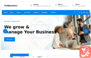 TishBusiness - Corporate and Business WordPress Theme