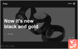 Foly - Personal Portfolio WordPress Theme