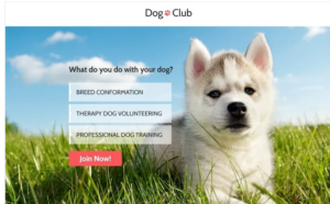 Dog Club - Dog Breeder Compatible with Novi Builder Landing Page Template