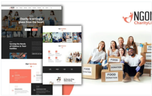 Ngom Nonprofit Donation Landing Page HTML5 Template
