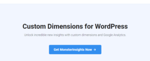 MonsterInsights Custom Dimensions Addon 2.1.1