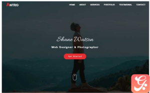 Antro - Personal Portfolio HTML Landing Page Template