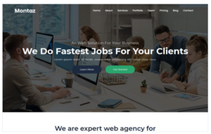 Opella - SEO Agency Website Landing Page Template