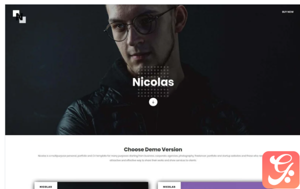 Nicolas - Multipurpose Personal, Portfolio and CV Landing Page Template