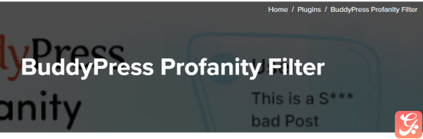 BuddyPress Profanity Filter