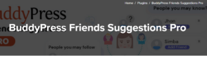 BuddyPress Friends Suggestions Pro 1.1.3