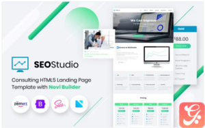 SEO Studio - Consulting HTML with Novi Builder Landing Page Template