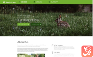 Real Grass - Garden Maintenance HTML Landing Page Template