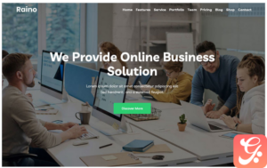 Raino - Digital Agency One page WordPress Theme
