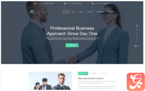 Net Expert - Business Consulting HTML5 Landing Page Template