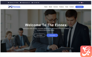 Finnex - Startup Landing Page Template