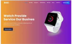 Baki Product Landing Page Theme