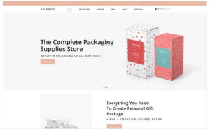 Packagio - Maintenance Clean Shopify Theme