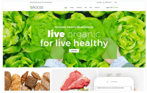 GROCEE - Food Store Multipage Clean Shopify Theme