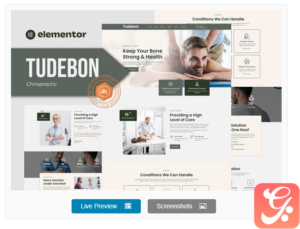 Tudebon - Chiropractic & Physiotherapy Elementor Template Kit