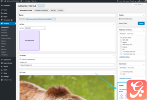 AdSanity – Weighted Ads 1.2