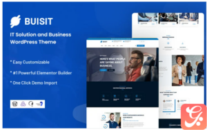 Buisit - IT Solution and Business WordPress Theme