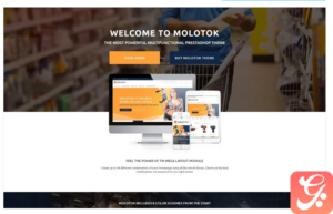 Molotok - Hardware Tools eCommerce Template PrestaShop Theme