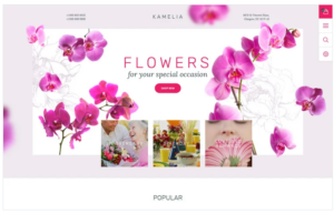 Kamelia PrestaShop Theme