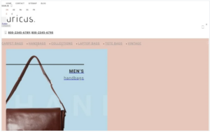 Auricus - Handbag Responsive PrestaShop Theme