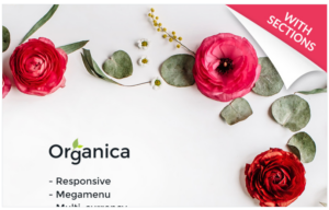 Cosmetics Store Responsive Shopify Theme