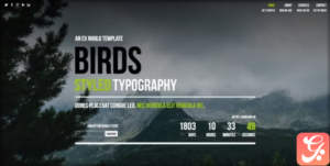 Birds - Responsive Coming Soon Page