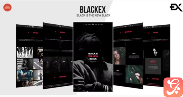 Blackex Photography Portfolio Template