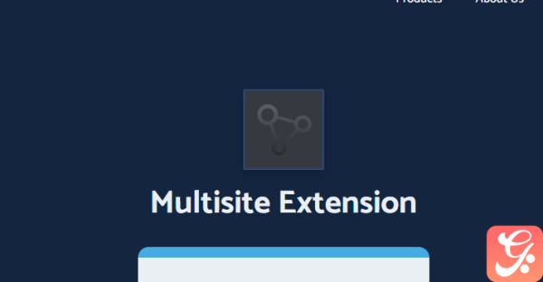 All in One WP Migration Multisite Extension 4.37