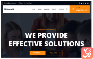 TishConsult2 - Business and Consulting WordPress Theme