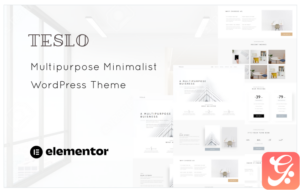 Teslo - Multipurpose Business and IT Solution Minimalist WordPress Theme