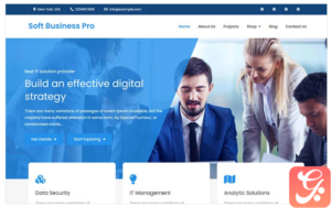 Soft Business Pro - Clean and Modern WordPress Business Theme