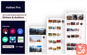 Hallwn Pro | Personal SEO Friendly Wordpress Blog Theme