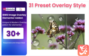 Image Overlay WordPress Plugin For Elementor