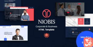 NioBis - Corporate Consulting Template