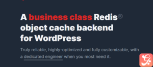 Object Cache Pro 1.20.2