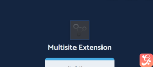 All in One WP Migration Multisite Extension WordPress Plugin with original license key Activation for lifetime