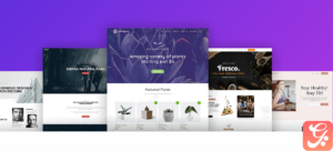 Astra Pro WordPress Plugin with original license key Activation for lifetime