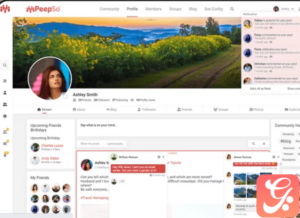 PeepSo integrations: IdeaPush 6.3.5.0