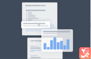 Formidable Forms – ACF 1.0.1