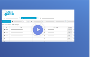 WP Sheet Editor Post Types 2.25.13