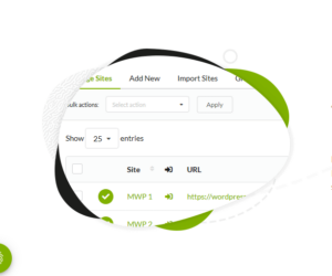 MainWP – API Backups 4.0.06