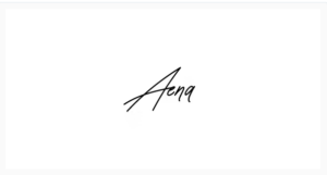 Aena - Content Focused WordPress Theme