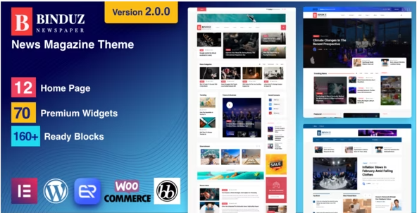 Binduz - Blog Magazine Newspaper Theme