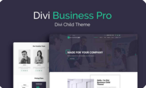 WP Zone – Divi Business Pro 1.0.15