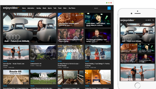 EnjoyVideo Pro 1.1.1