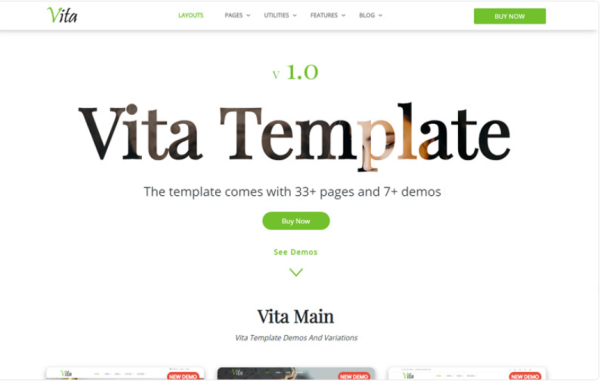 Vita - Responsive Website Template