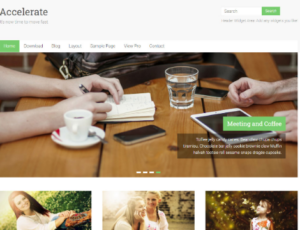 ThemeGrill – Accelerate Pro 2.3.5